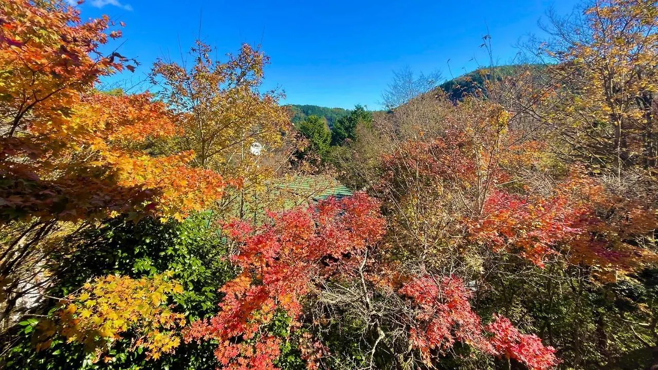 雅・小涌谷　温泉別荘　Miyabi Kowakudani Hopspring Villa Ashinoyu